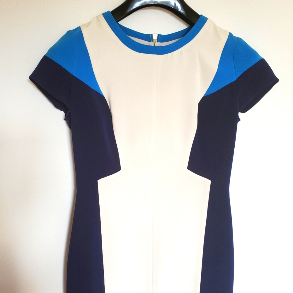 Club Monaco Shift Dress, 8